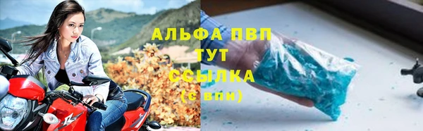 шишки Гусь-Хрустальный