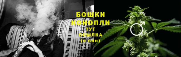 PSILOCYBIN Гусев