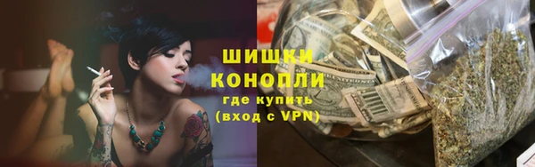 шишки Гусь-Хрустальный