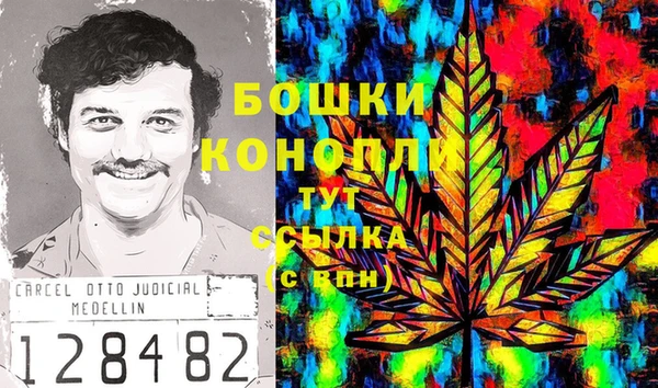 шишки Гусь-Хрустальный