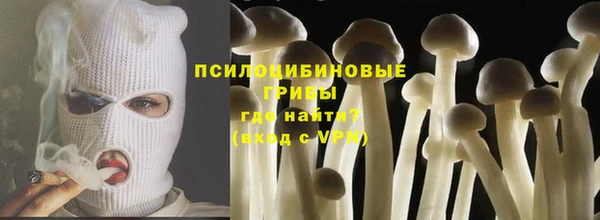 дурь Гусиноозёрск