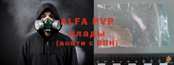 дурь Гусиноозёрск