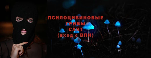 шишки Гусь-Хрустальный