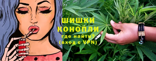 шишки Гусь-Хрустальный