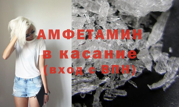 шишки Гусь-Хрустальный