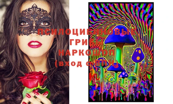 шишки Гусь-Хрустальный