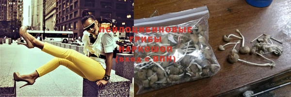 PSILOCYBIN Гусев