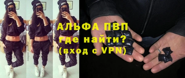 шишки Гусь-Хрустальный