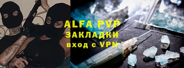 PSILOCYBIN Гусев