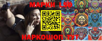 крисы Гай