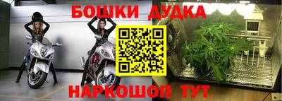 крисы Гай