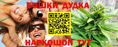 гашик Гатчина