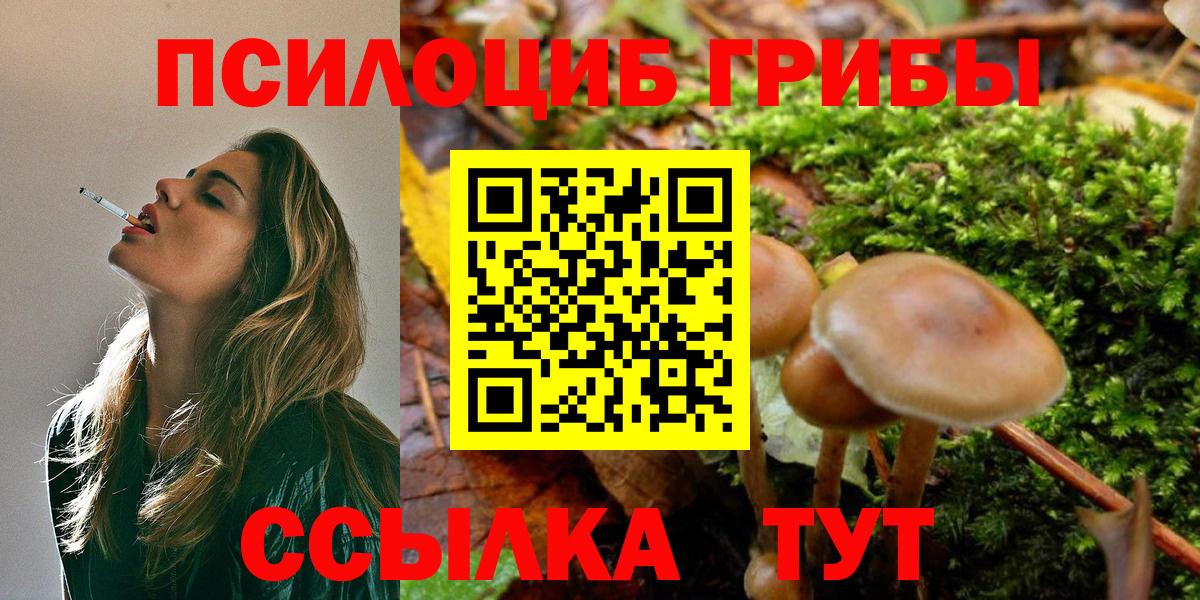 Галлюциногенные грибы мицелий Отрадный