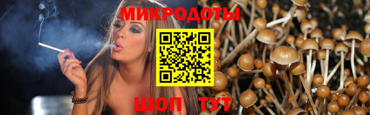 Отрадный  Галлюциногенные грибы MAGIC MUSHROOMS  Вход с VPN  Псилоцибиновые грибы Psilocybine cubensis 